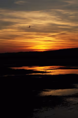Setting of sun..